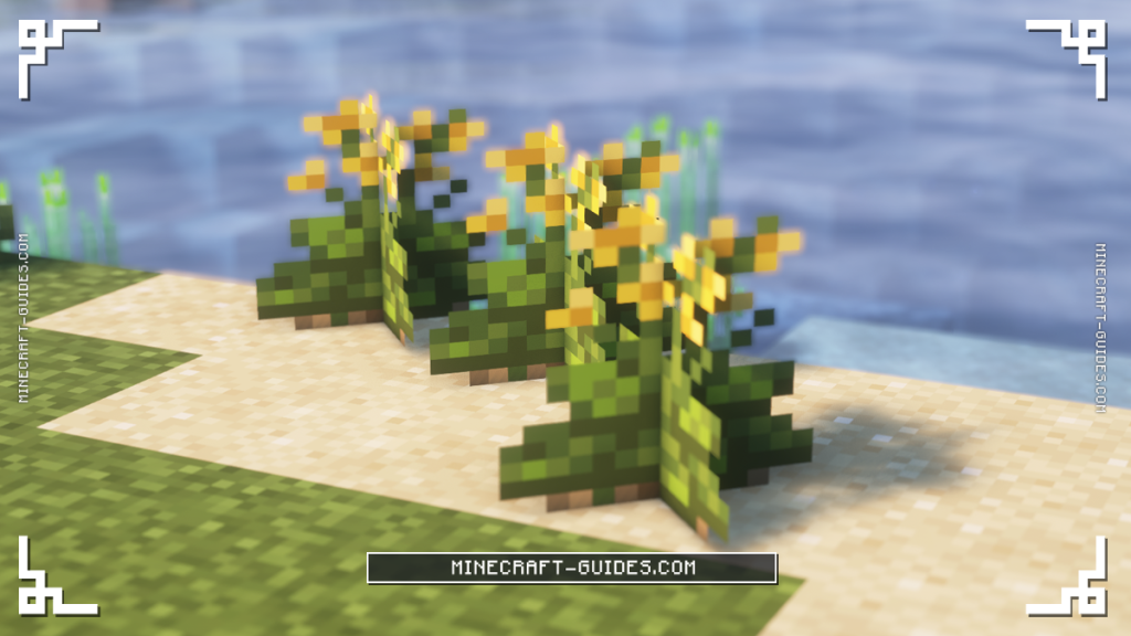 Wild Cabbage plants with yellow flowers from the Farmer's Delight mod growing on a sandy beach