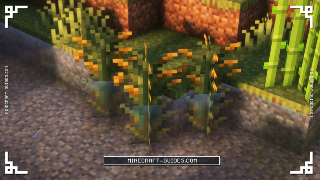 Wild Rice from the Farmer's Delight mod growing in shallow water beside Sugar Cane