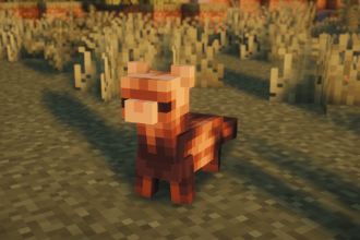 A Ferret from Critters and Companions standing on a path, with its dark eye mask and ringed tail