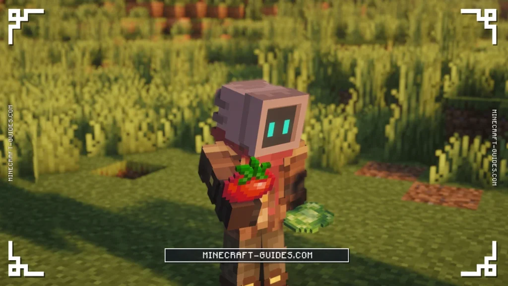 Close-up of the player holding a Tomato and a Cabbage