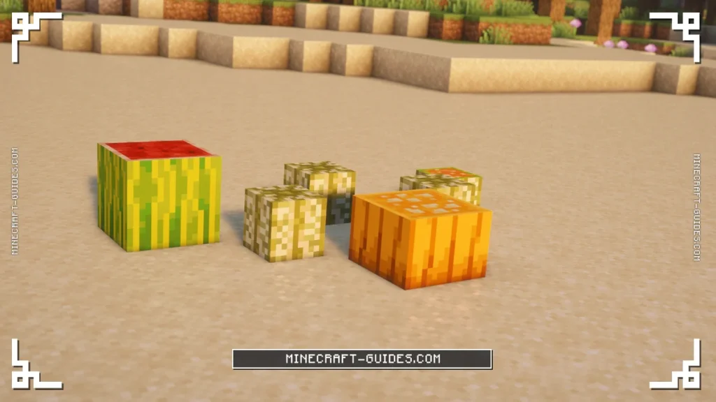 Cantaloupes on a beach with Sliced Melon, Sliced Cantaloupe and Sliced Pumpkin