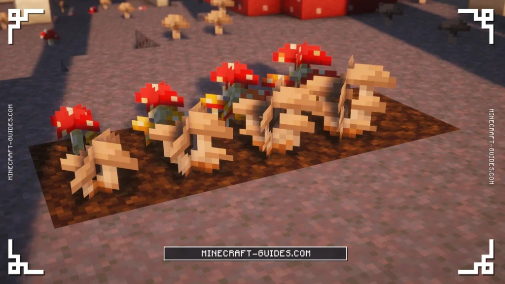Brown and Red Mushroom Colonies on Rich Soil at each growth stage
