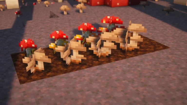 Mushroom Colonies