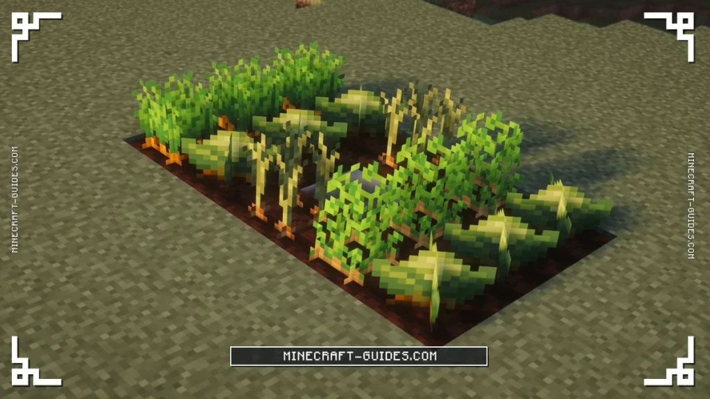 Hydrated Rich Soil Farmland growing Carrots, Cabbages, Onions and Potatoes around a water block