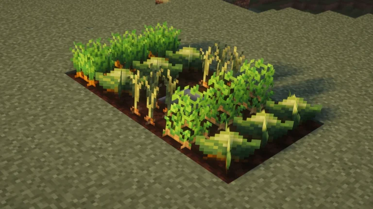 Rich Soil