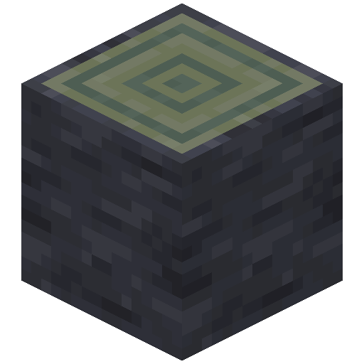 Echo Log