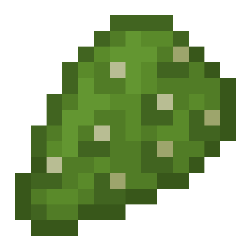 Cactus Chunk