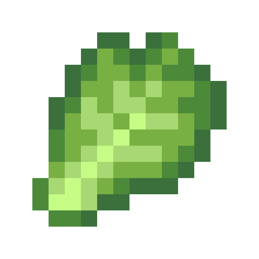 Cabbage Leaf