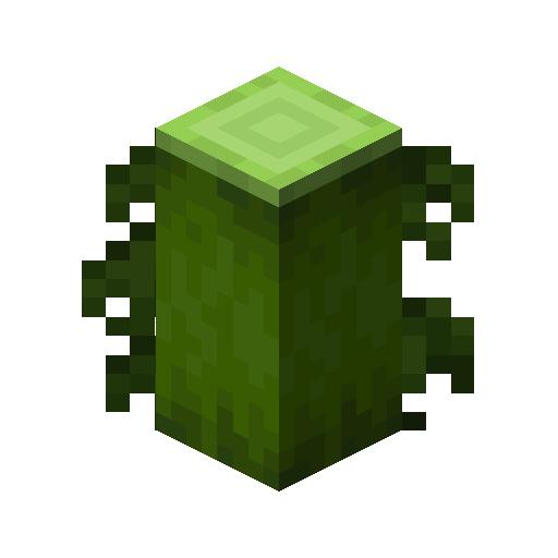 Bamboo Log